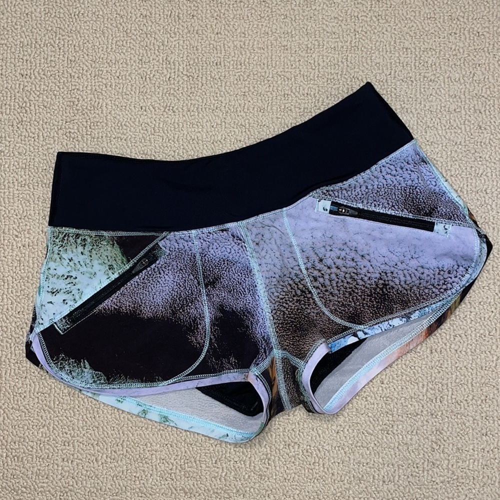 Aritzia Parklife Shorts